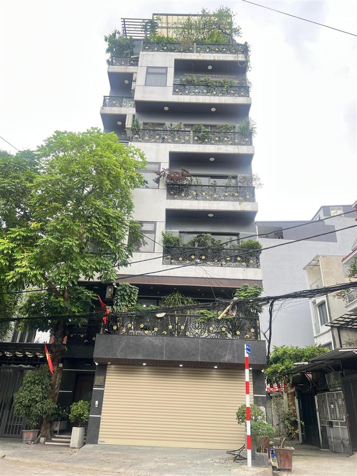 Cực hiếm kim ngưu hai bà trưng