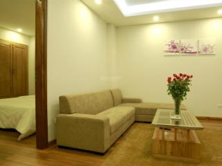 Chính chủ cho thuê căn hộ 1 ngủ 1 khách đủ đồ ngay đầu kv trần duy hưng, 45m2 từ 8.9tr