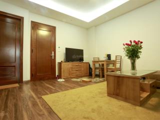 Chính chủ cho thuê căn hộ đủ đồ 1 ngủ 1 khách khu vực trần duy hưng, 50m2, 8.9 triệu