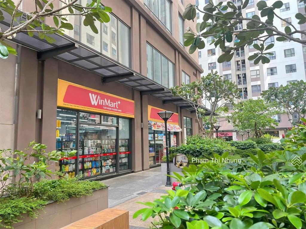 Chính chủ cho thuê ch green river quận 8, 65m2/ 2pn, full nội thất, chỉ xách vali vào, giá 10,5tr
