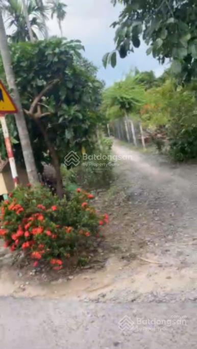 Đất an sơn thuận an, 1776m2 vườn trái cây, 300m2 thổ cư, đường bê tông, giá chỉ 8 triệu/m2