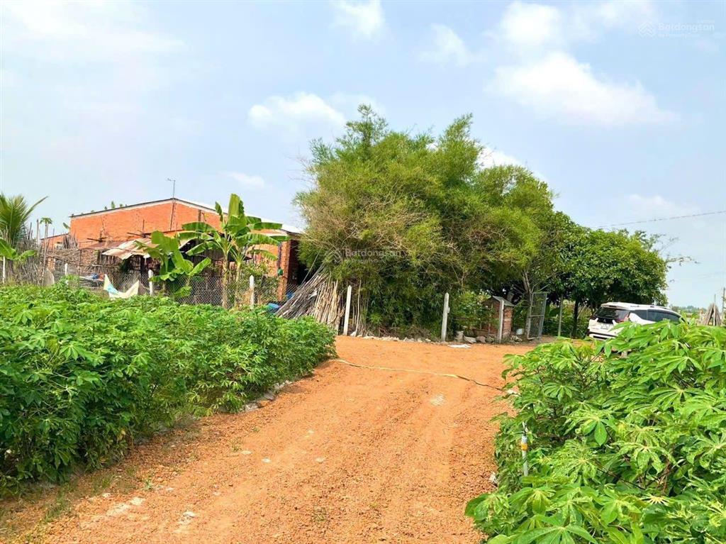 175m2 đất full thổ cư tân phong, tân biên, tây ninh, cách nhựa 20m