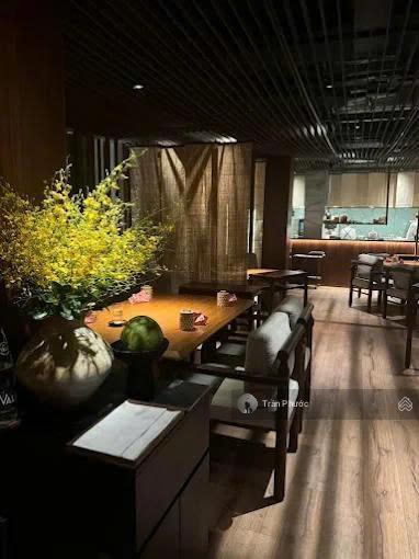 Biệt thự số 50a đặng dung, p. tân định, quận 1. dt 7.2x22.6m, 1 trệt 3 lầu trống suốt có sân