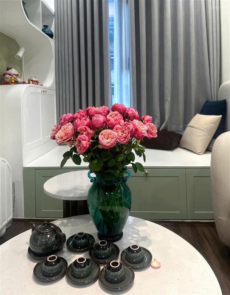 " giá chuẩn" bán gấp căn hộ 2pn+1 64m²4.6 tỷ imperia cạnh zone 4 và công viên vinhomes smart city
