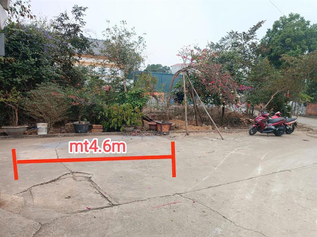 Chính chủ cắt lỗ 500tr bán gấp mảnh đất đẹp đối diện khu đất đấu giá tân xã