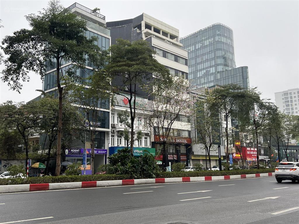 Bán nhà mặt phố liễu giai ba đình, dt 110m2, 10 tầng, dòng tiền 200tr/th