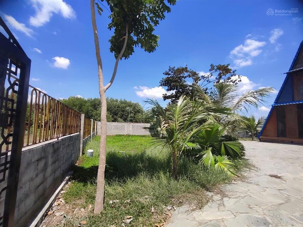 Bán đất tại tóc tiên, brvt (châu pha  tp hồ chí minh) diện tích 500m2  đã xây tường bao kiên