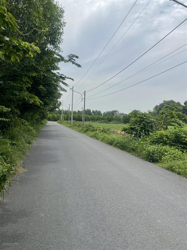Diện tích lớn cách trung tâm 2km