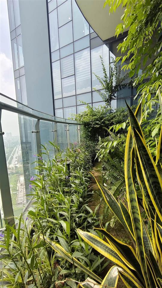 HIẾM CÓ KHÓ TÌM – CĂN 3PN VIEW SÔNG ĐẸP NHẤT S3 SUNSHINE CITY.