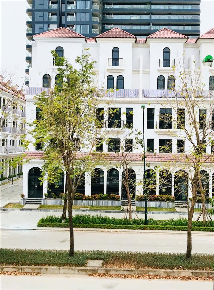 SH 99.1m² M.Đường 21m Sunshine Golden River – Hai mặt thoáng, 5 tầng + hầm