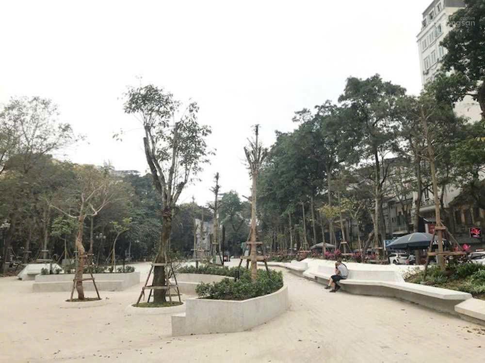Mặt phố quán thánh  60m2  mt 6m  kinh doanh khủng