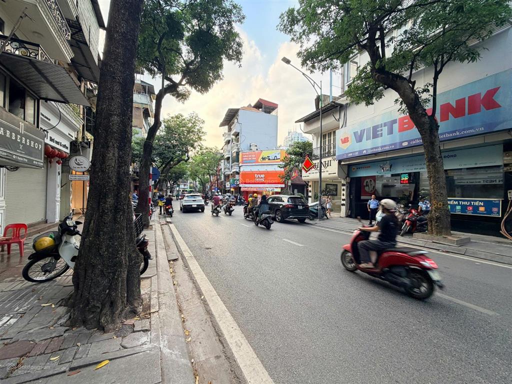 Mặt phố quán thánh  60m2  mt 6m  kinh doanh khủng