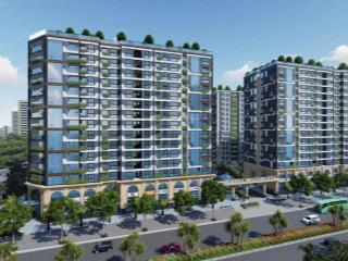 Chính chủ bán căn hộplatinum long biên 79,3m² tầng trung  chỉ 138 tr/m² (thấp hơn thị trường)