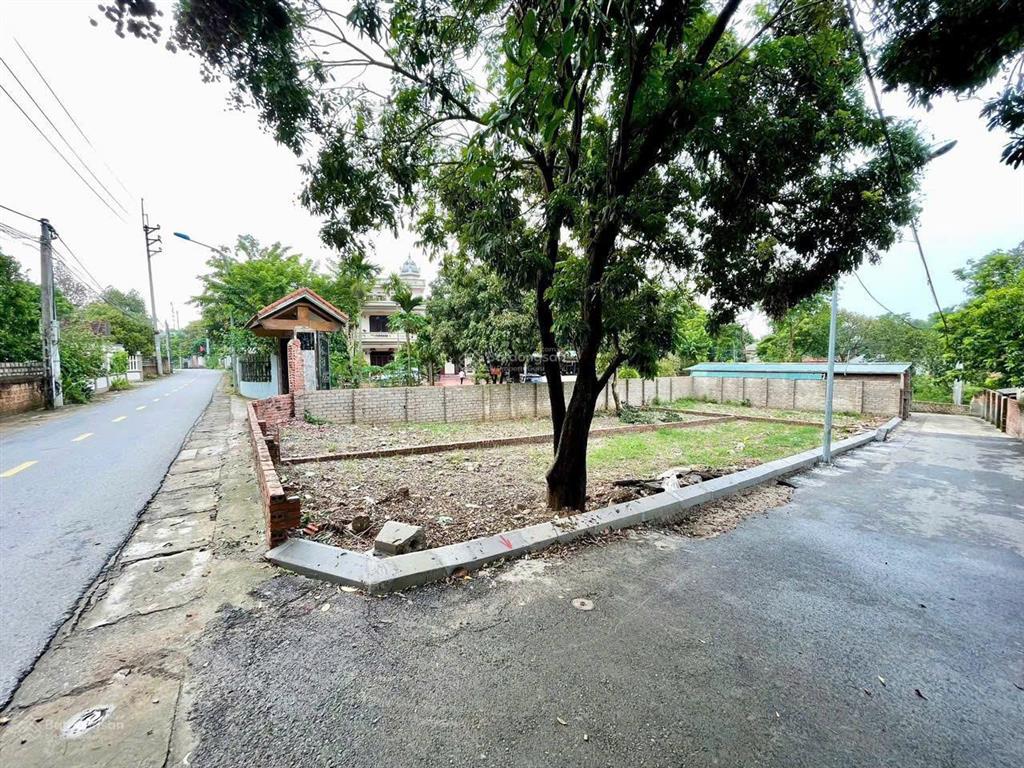 Bán mảnh đất 123m2 ngay trục đường chính của hòa lạc