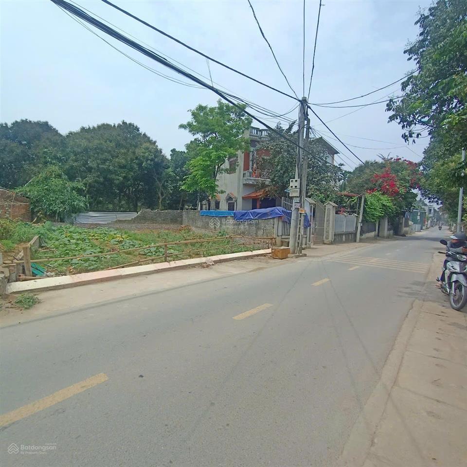 Đất 100m2 gian dân ngay mặt đường đẹp giá 3 tỷ