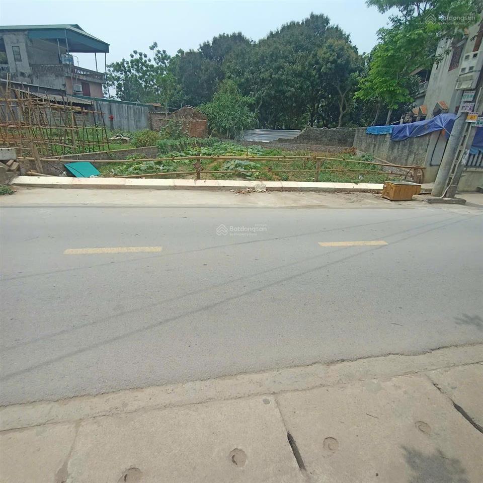 Đất 100m2 gian dân ngay mặt đường đẹp giá 3 tỷ