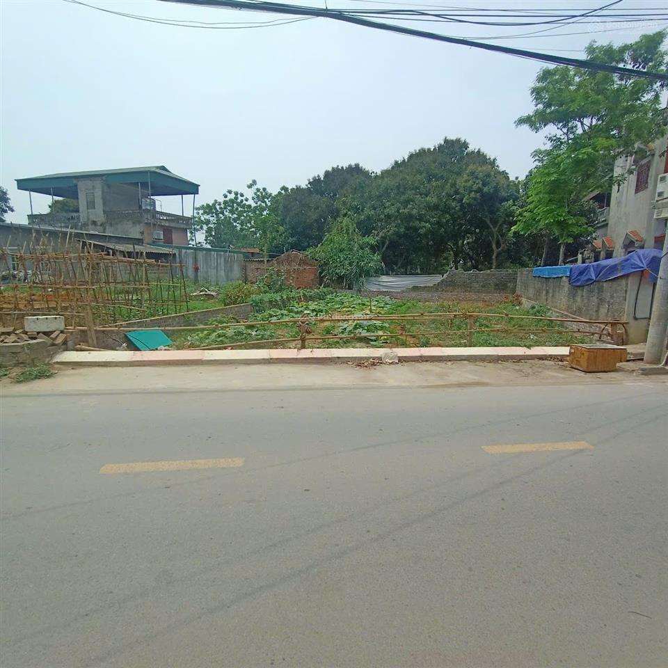 Đất 100m2 gian dân ngay mặt đường đẹp giá 3 tỷ