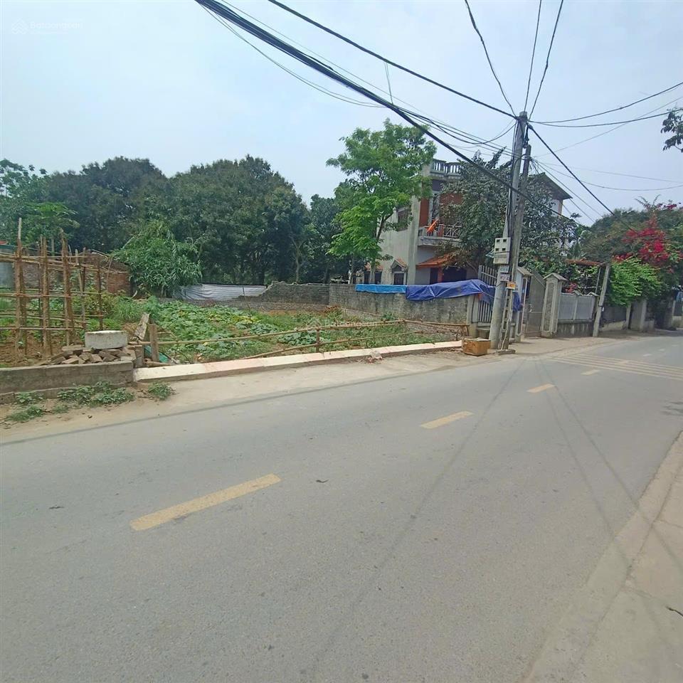 Đất 100m2 gian dân ngay mặt đường đẹp giá 3 tỷ