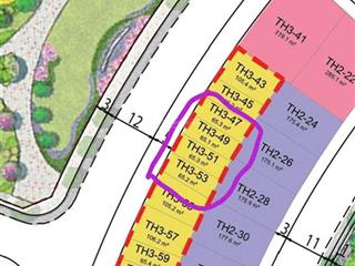 Cần bán shophouse th3 diện tích 65m2 còn lại duy nhất dự án vinhomes dương kinh,  0842 006 ***