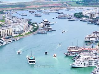 Em thảo 0969 162 *** bán l112 tuần châu marina, âu tàu 2, dtxd 561m2. giá 6.5 tỷ sẵn nhà sẵn sổ đỏ
