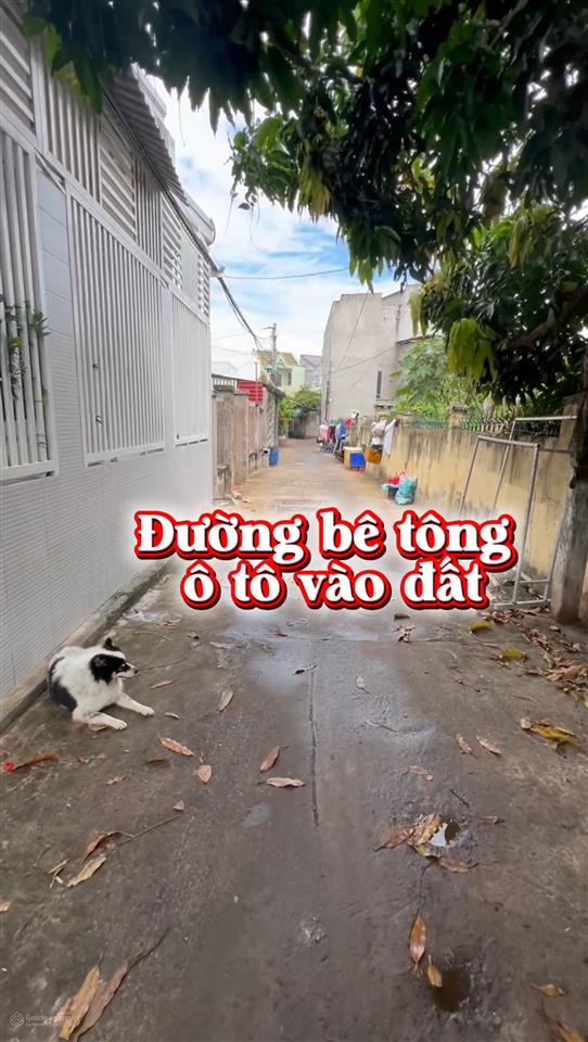 Bán đất trung tâm phan thiết 146,8m2 thổ cư, giá chỉ 2,1 tỷ