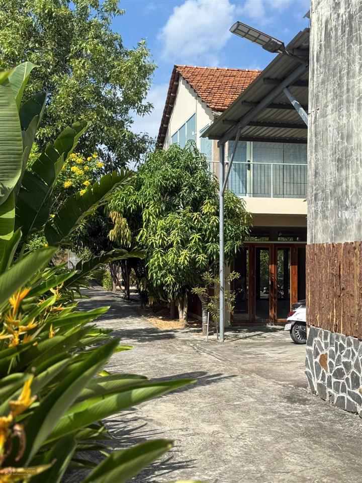 Bán đất mặt tiền đường nguyễn thông phú hài, phan thiết, giá chỉ 11 tr/m2