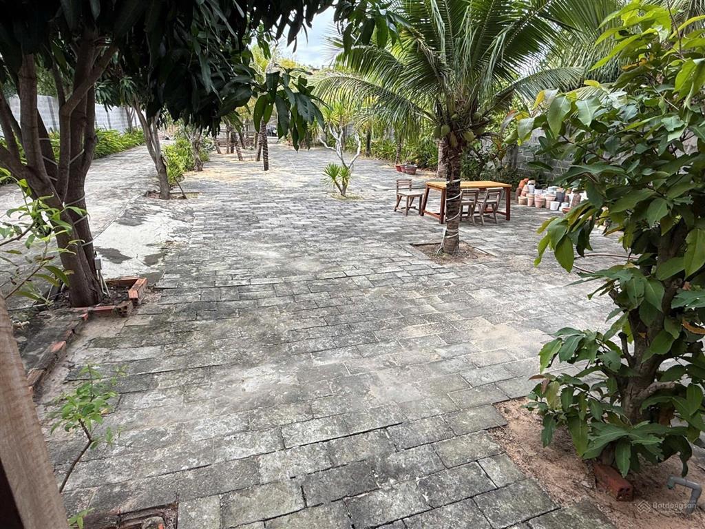 Bán đất mặt tiền đường nguyễn thông phú hài, phan thiết, giá chỉ 11 tr/m2