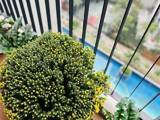 Cậu ruột gửi bán nhanh căn hộ đẹp nhất tại sky central định công