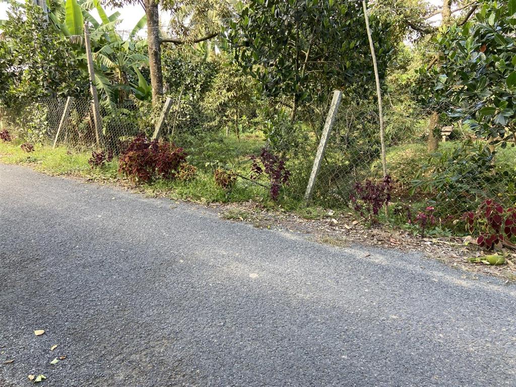 Bán đất thổ vườn mặt tiền sông dh54c view sông ba rài
