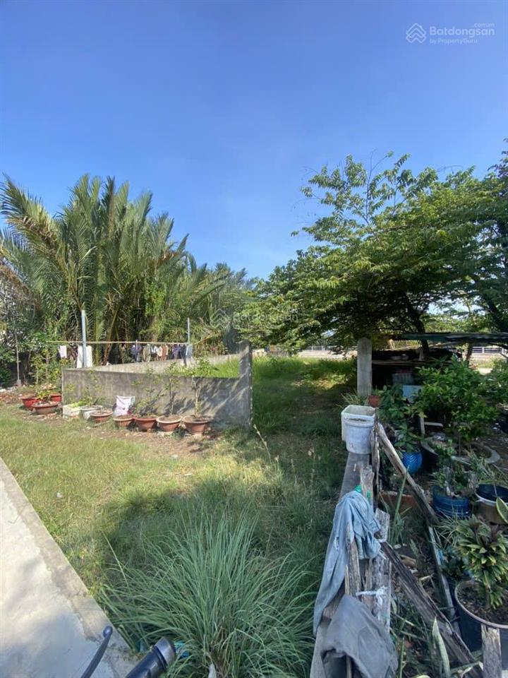 Đất view sông, mặt tiền nhựa 8m làm nhà vườn quá đẹp