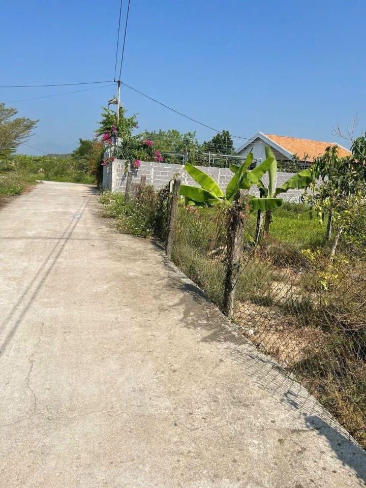 BÁN LÔ ĐẤT ĐẸP Ở DIÊN THỌ . DT 733m2 CÓ 70m2 THỔ . NGANG 20m . GIÁ 3,5 TỶ CÒN BỚT CHO KHÁCH THIỆN CHÍ