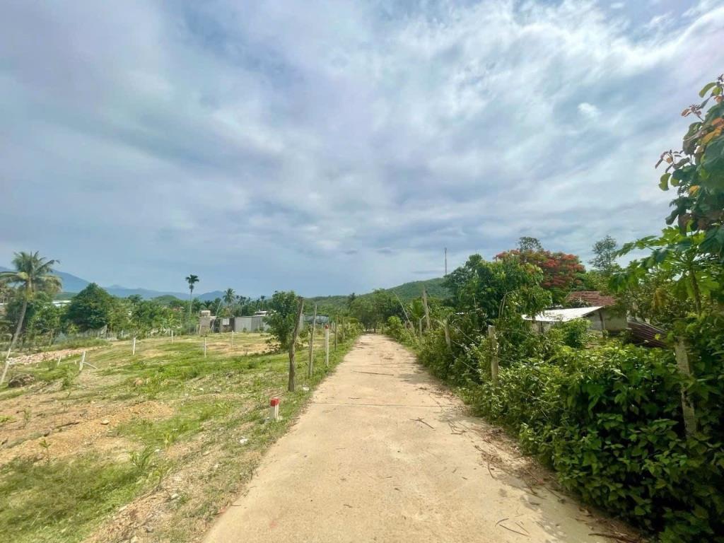 Bán lỗ 2 lô đất full thổ cư ở Khánh Phú , Khánh Vĩnh . DT 168m2/lô . Đường Betong oto thông , khu dân cư.Giá 239 triệu