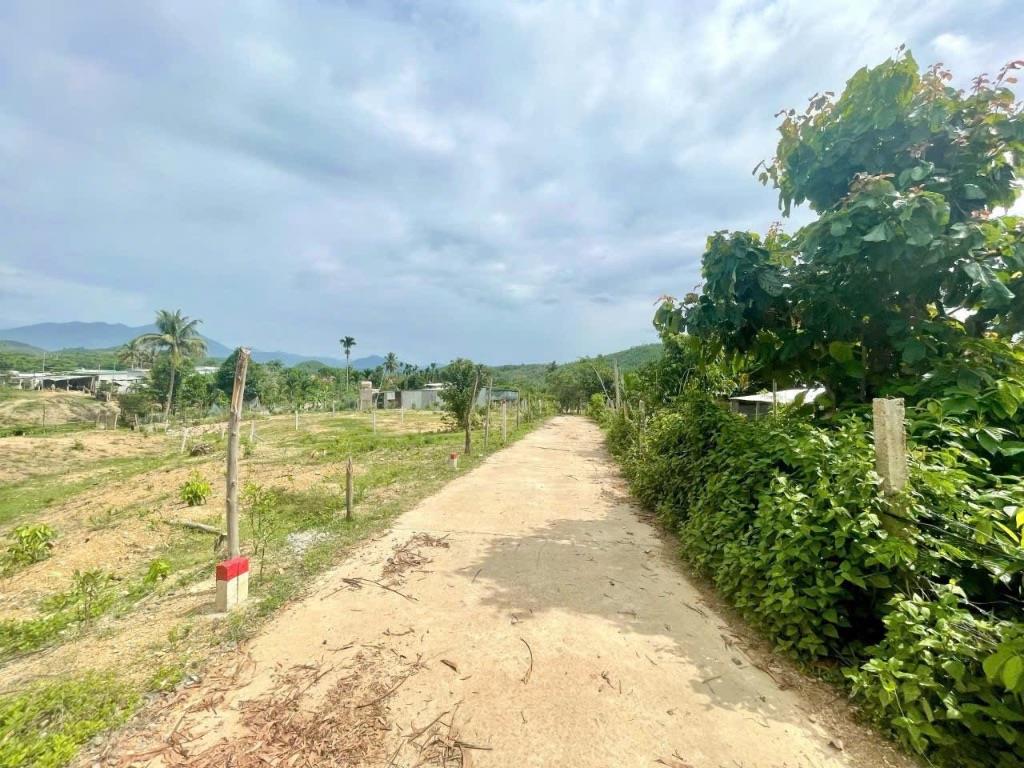 Bán lỗ 2 lô đất full thổ cư ở Khánh Phú , Khánh Vĩnh . DT 168m2/lô . Đường Betong oto thông , khu dân cư.Giá 239 triệu