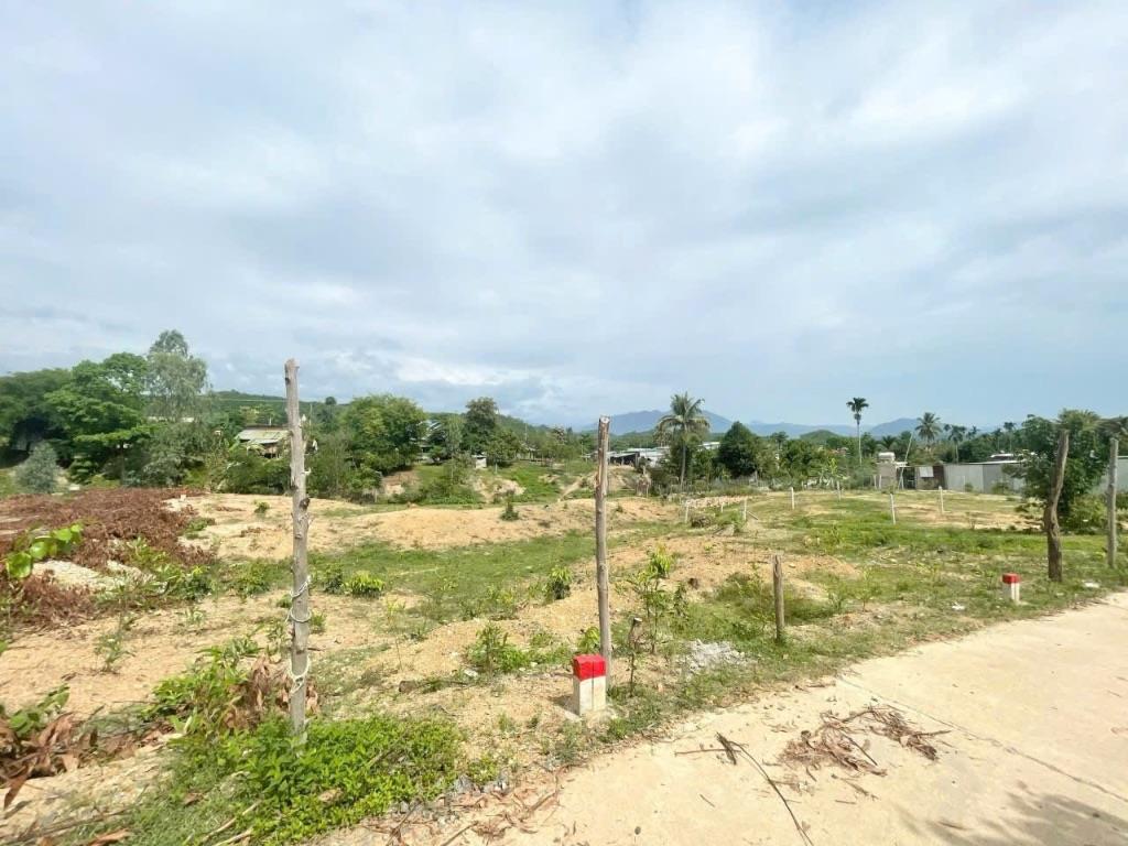 Bán lỗ 2 lô đất full thổ cư ở Khánh Phú , Khánh Vĩnh . DT 168m2/lô . Đường Betong oto thông , khu dân cư.Giá 239 triệu