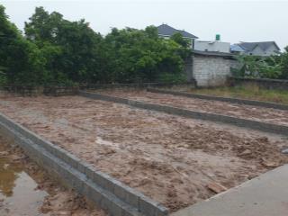 Chính chủ cần tiền kinh doanh dịp tết, bán gấp đất cực đẹp, đã có sổ đỏ.