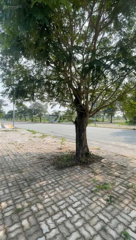 Bán đất nền sunflower city, đối diện tttm, 1,5 tỷ, 97m2 tại đường nguyễn văn cừ, xã phước an