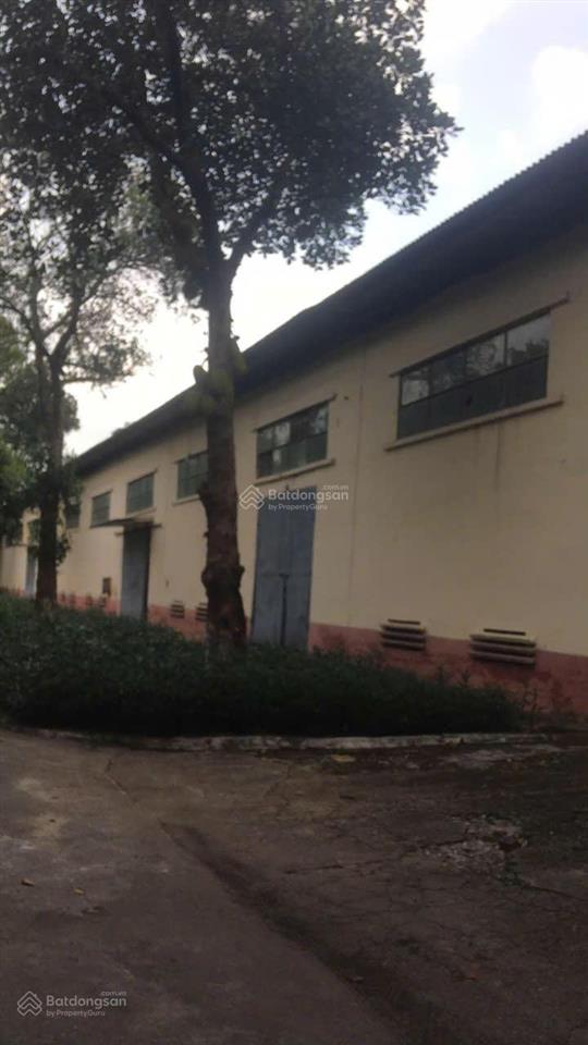Cho thuê kho xưởng tại đông anh. diện tích 600m2, vách 5,5m