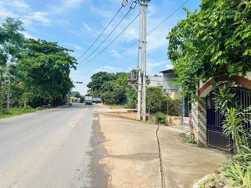 Cho thuê kho xưởng tại sóc sơn, xã phú cường  sóc sơn, diện tích 300m2