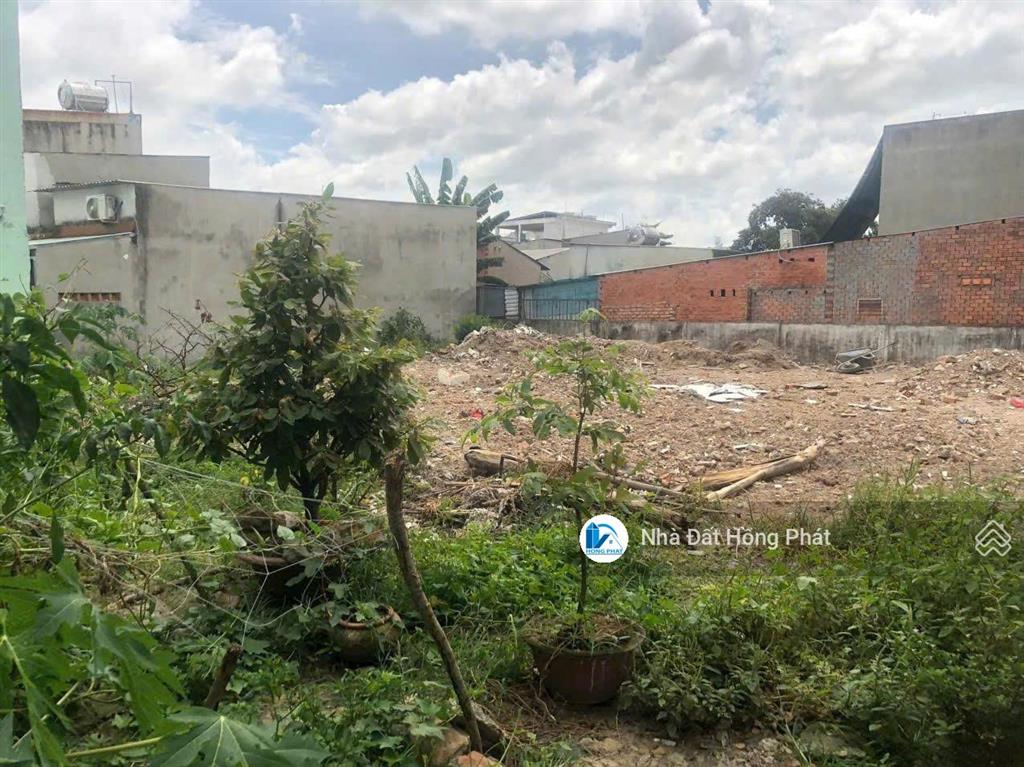 Đất thổ cư dt 239m2, gần chợ đầu mối, tiện xây phòng cho thuê, nhà vườn