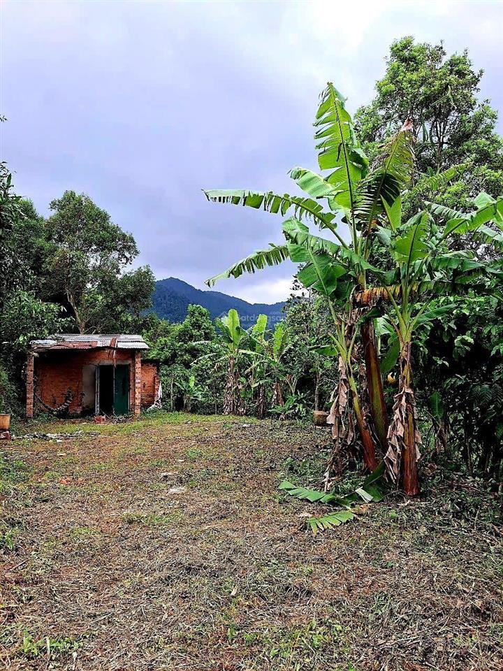 Đất mặt đường nhựa, ô tô vào tận nơi, view đẹp, không khí mát, sổ hồng riêng, giá rẻ