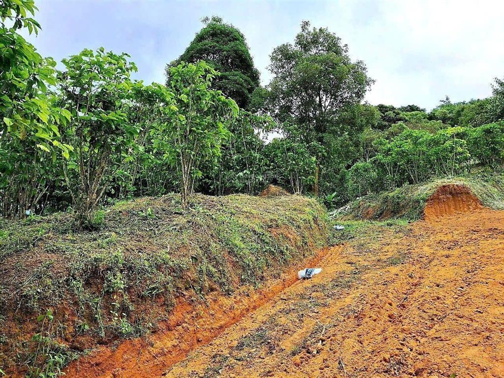 Đất mặt đường nhựa, ô tô vào tận nơi, view đẹp, không khí mát, sổ hồng riêng, giá rẻ