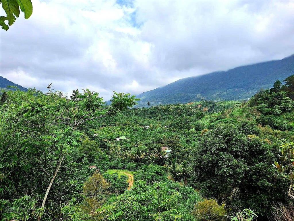 Đất mặt đường nhựa, ô tô vào tận nơi, view đẹp, không khí mát, sổ hồng riêng, giá rẻ