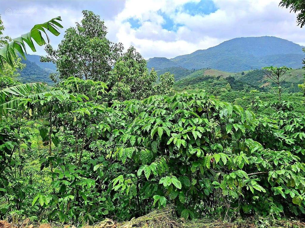 Đất mặt đường nhựa, ô tô vào tận nơi, view đẹp, không khí mát, sổ hồng riêng, giá rẻ