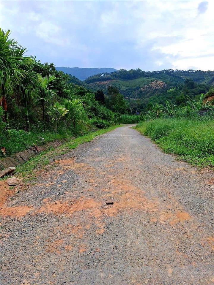 Đất mặt đường nhựa, ô tô vào tận nơi, view đẹp, không khí mát, sổ hồng riêng, giá rẻ