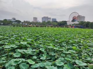 Biệt thự mặt phố võng thị đẹp nhất tây hồ, 191 m2, mt 15m, sát hồ tây. vip 120 tỷ!