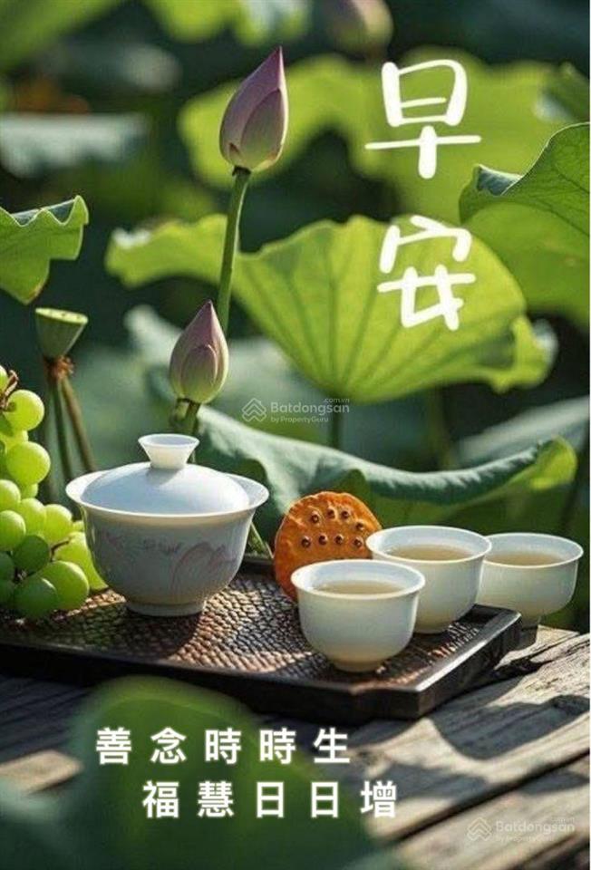 Vip nhất ! căn hộ pacific, 182 m2, 2 pn, nt full cực đẹp, 2 view phan bội châu và công viên.