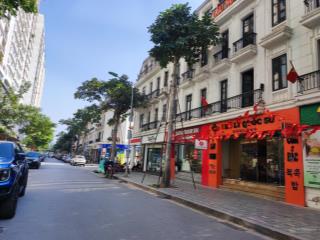 Biệt thự kinh doanh tốt nhất ngoại giao đoàn ! 122 m2, mt 6m, 2 mặt, vỉa hè. chỉ 79,1 tỷ.