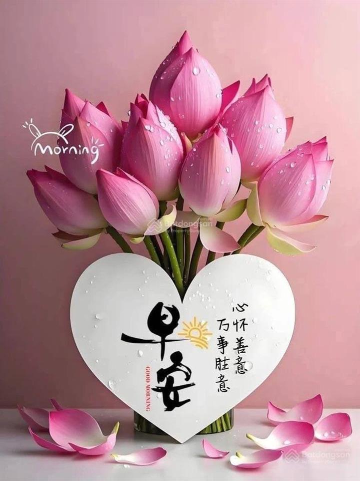 Lô góc 68.6 m2 đất, 521 cổ nhuế, mt 4.76m, sát ôtô. chỉ 11.99 tỷ.