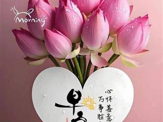 Lô góc 68.6 m2 đất, 521 cổ nhuế, mt 4.76m, sát ôtô. giá đt chỉ 11.93 tỷ.