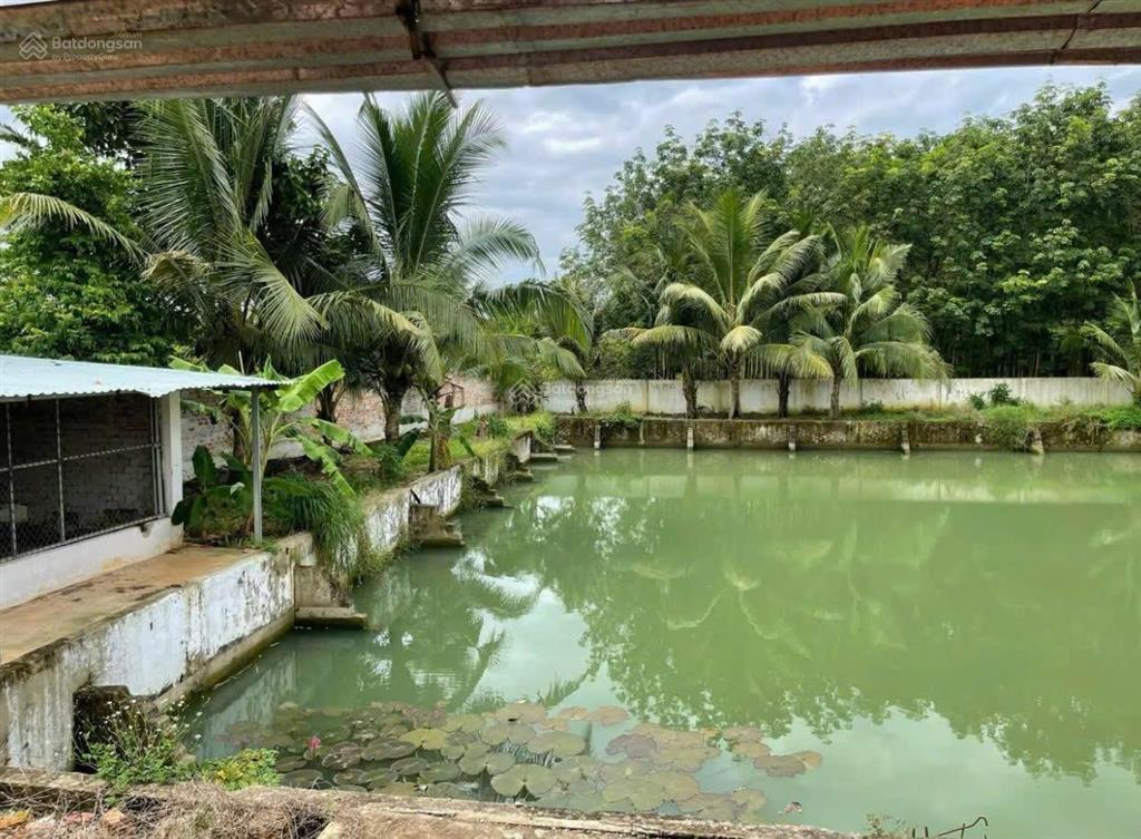 Chỉ 520 triệu đất vườn có sẵn nhà chơn thành. cách kcn becamex chỉ 800m, sổ hồng sẵn